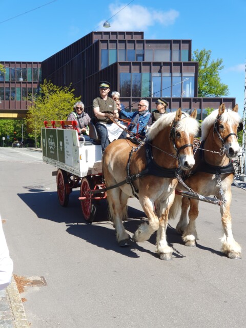 Rundvisning ny/gl Carlsberg
