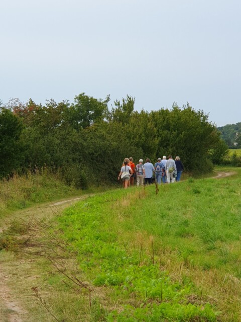 En bid af Trampestien