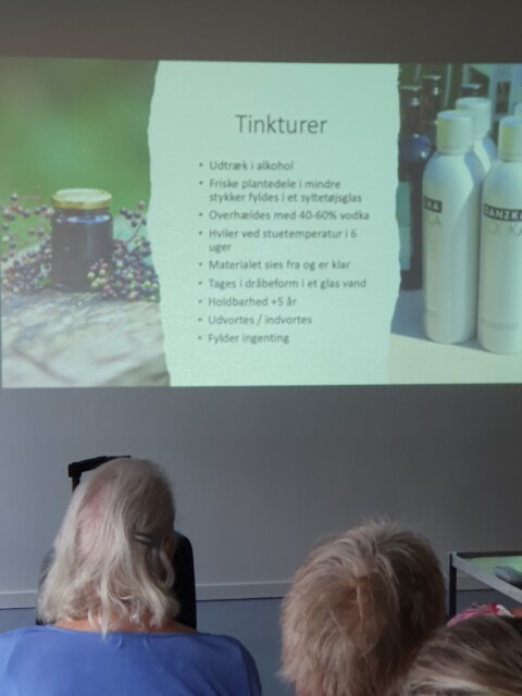 Foredrag med Hyldemor